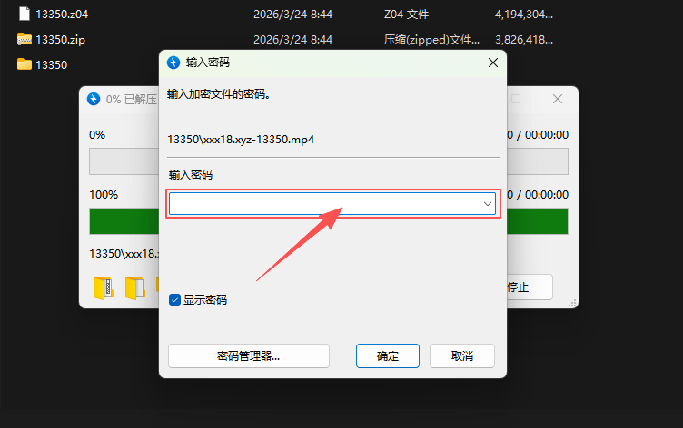 输入解压密码