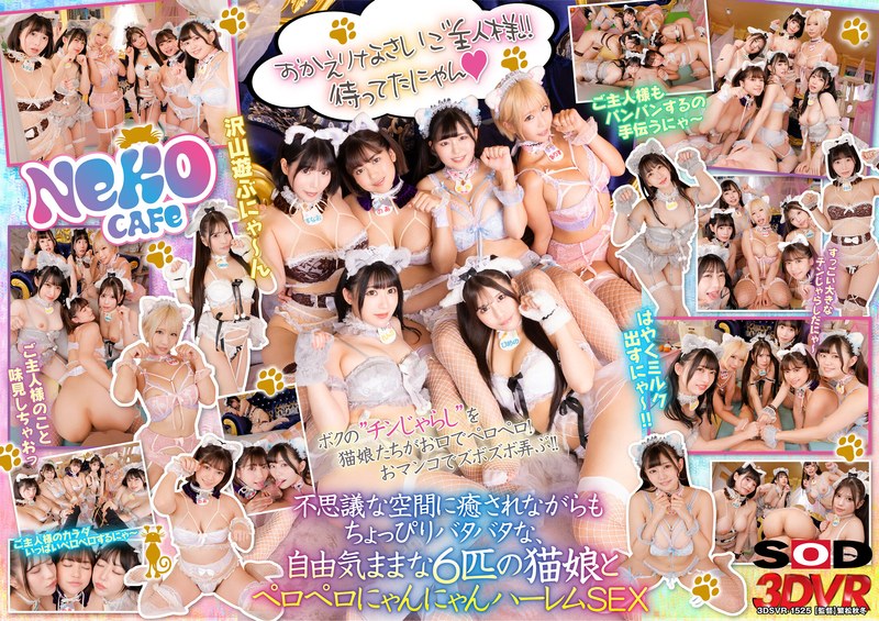 DSVR-1525 【VR】去猫咖啡厅竟然遇到猫娘！？～被舔得欲罢不能的自由放纵喵喵后宫SEX～